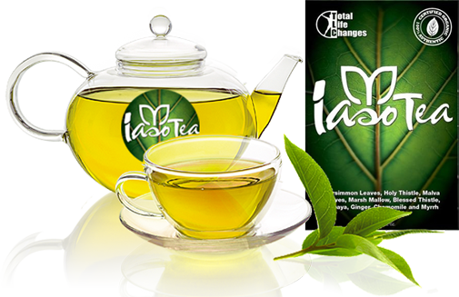 Iaso Detox Tea Sample